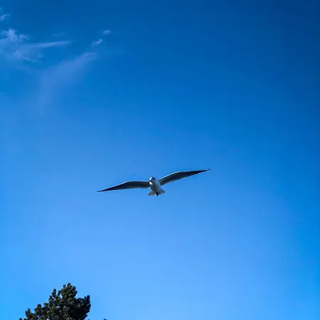 Noorblick Apartament Glücksburg