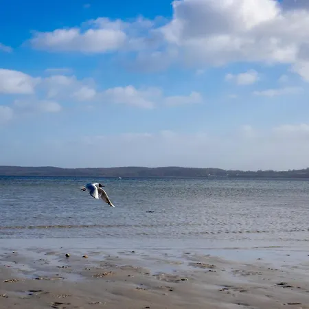 Apartament Noorblick *