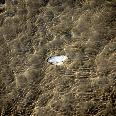 Noorblick Glücksburg