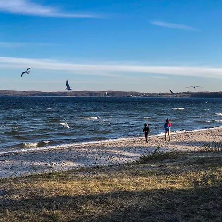 Apartament Noorblick