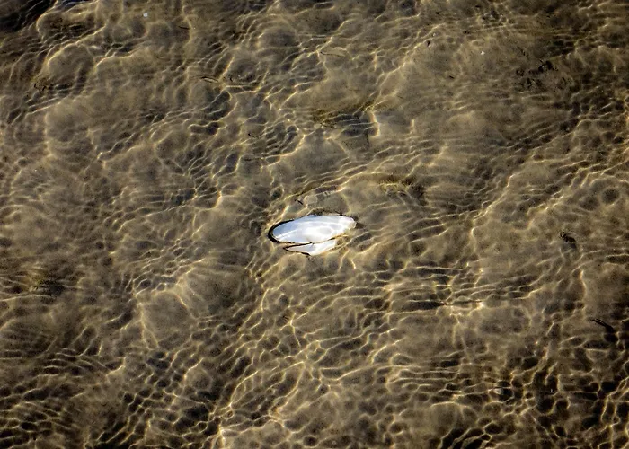 Noorblick Glücksburg